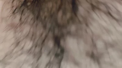 成都很快乐