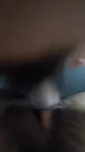 插骚逼人妻