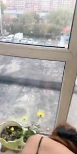 窗前干骚妻