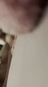 继续草熟女